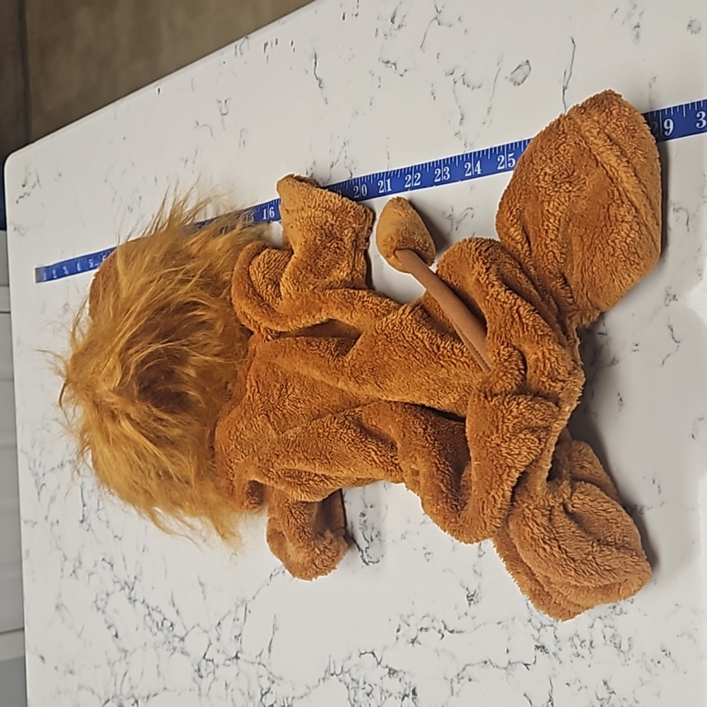 Dog Lion Costume - Picture 4 of 6